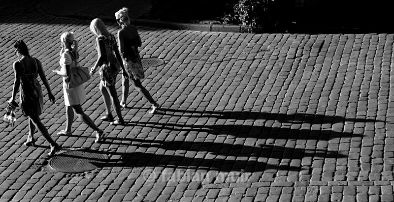 Fabian Muir Estonia