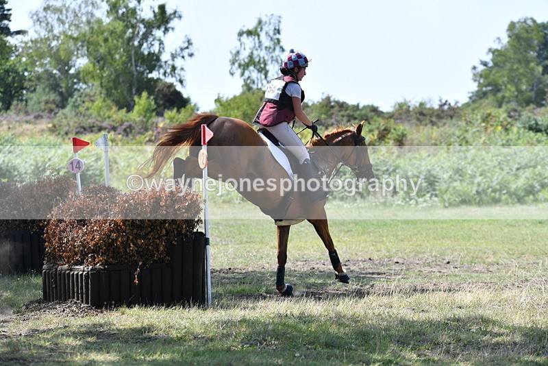 WJ5_3081 - XC Time 13:03 to 13:28