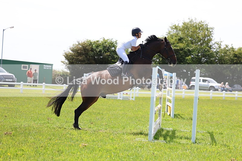 3E7A1307 - Class 12: Senior Foxhunter/1.20 open