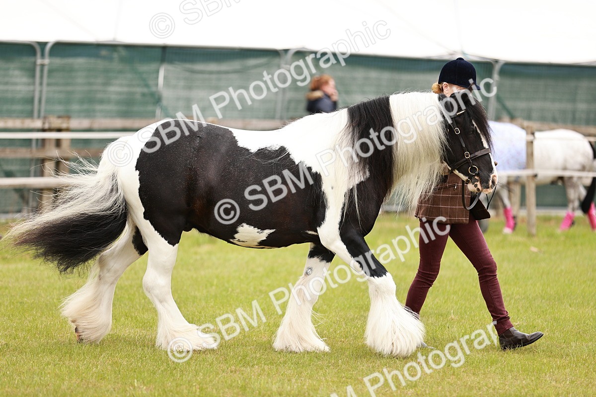 SBM_04630 - Class 5-8 - BSPA In hand