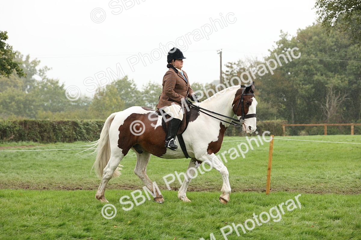 SBM_69797 - S69 - Show Cob Ridden