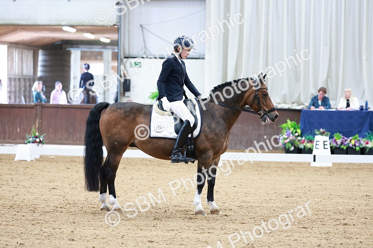 SBM_017129 - Class15 - FEI Pony