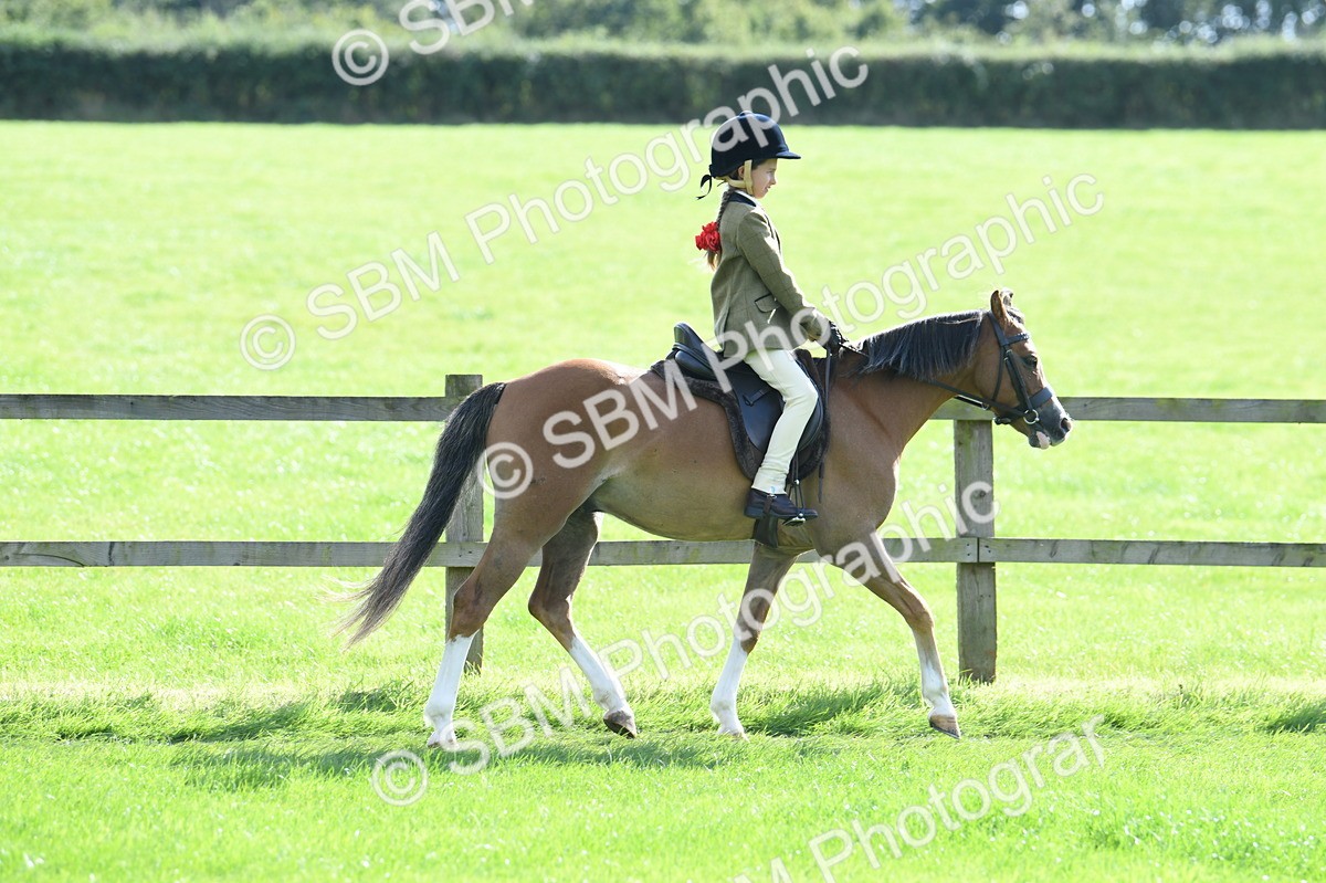 SBM_50273 - S21 - Novice & Newcomers 1st Ridden Pony