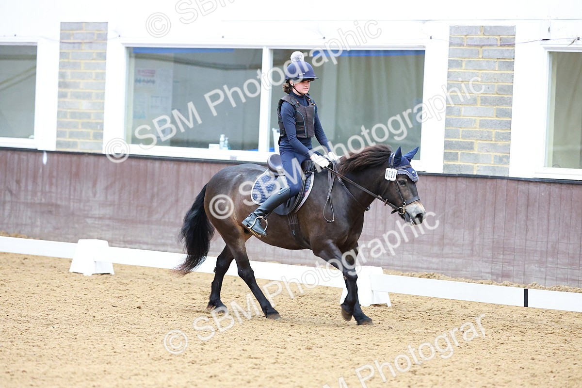 1I0A0725 - Class 3-6 - Prelim 1-Novice 2