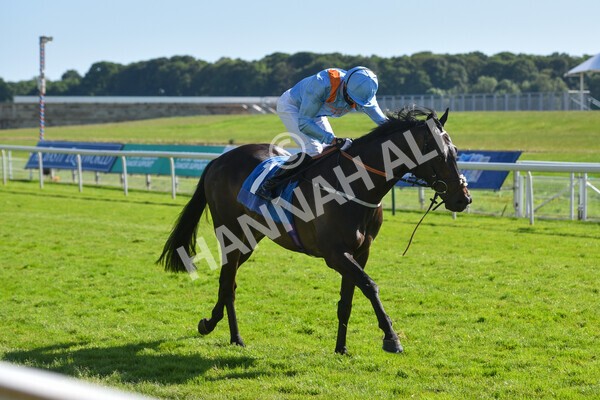  - Race 6 4.50pm The Ice Co supporting Macmillan Stakes