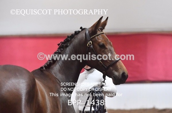 BPP_1438 - MORNING 9AM - 12PM