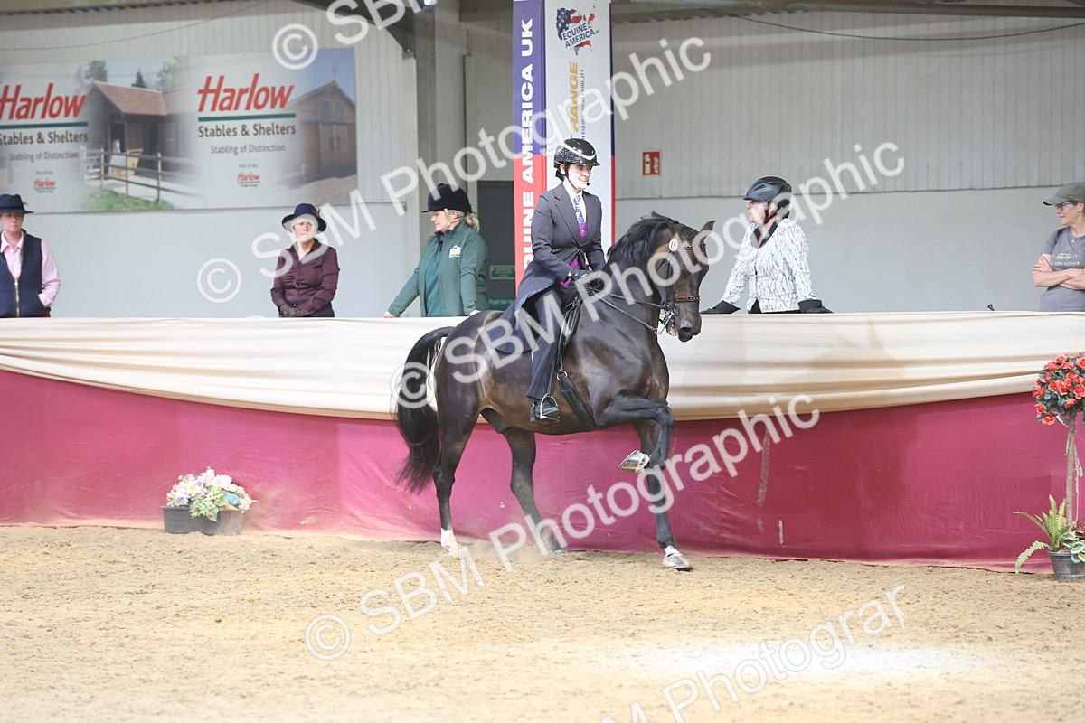 SBM_23738 - class 906 - Supreme Final - Ridden Pre Vet