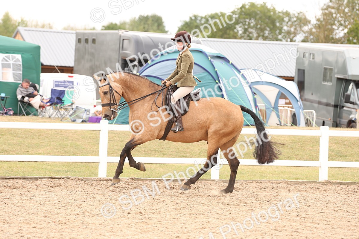 SBM_17251 - Class 213 - Ridden Hunter - Large