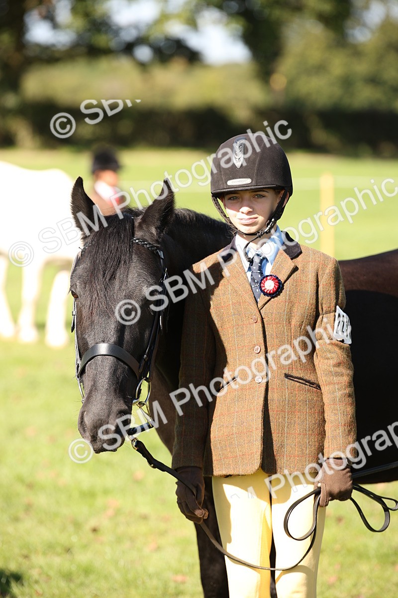 SBM_36683 - S10 - Best In Hand Horse & Pony