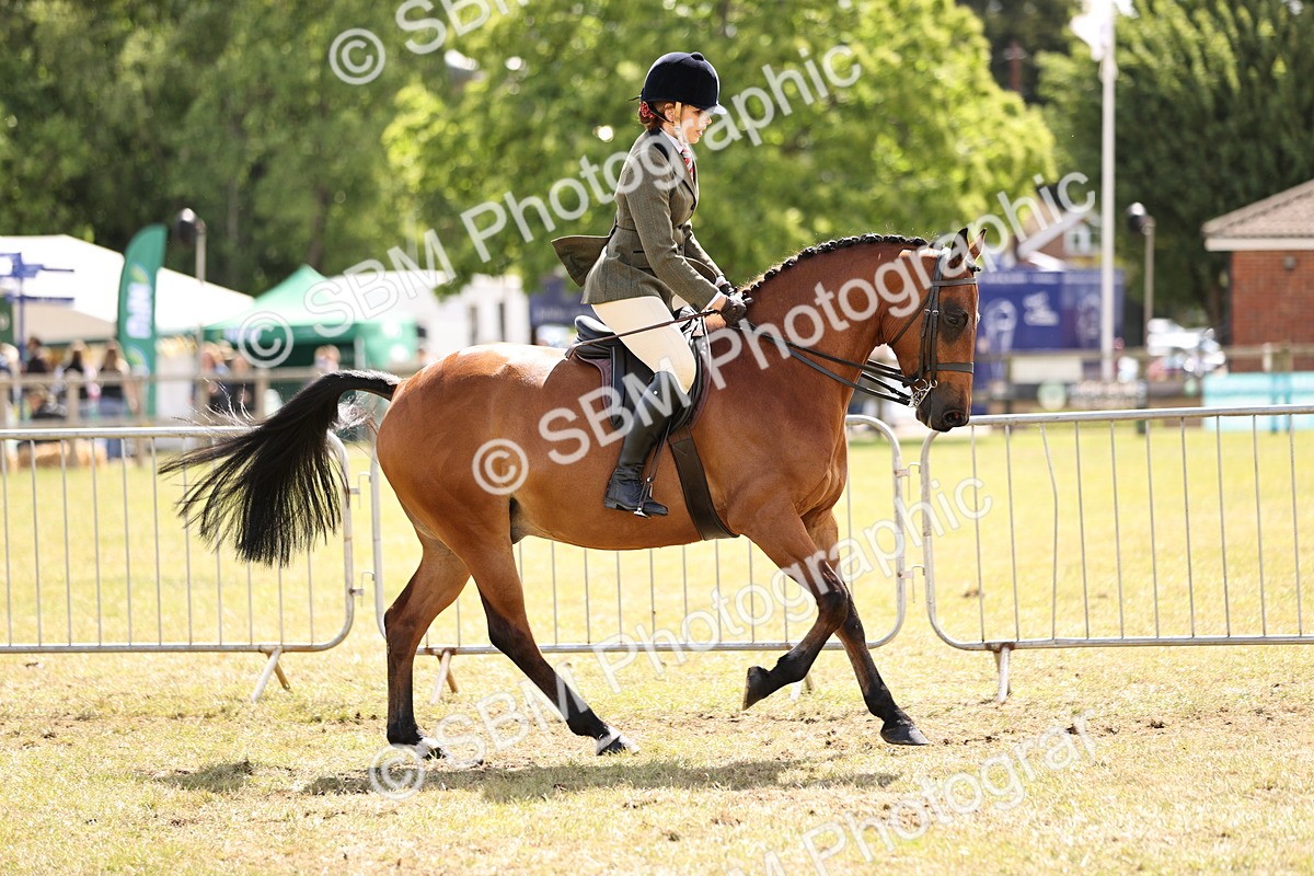 SBM_14532 - Class 88-89 - LIHS BSHA Rising Star of Ridden Hunter Type