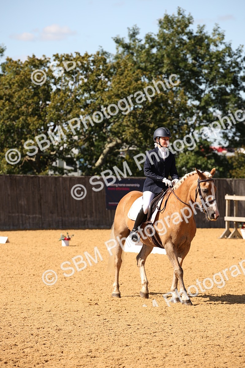 SBM_24255 - D5 - Small Tour Championship - Intro C