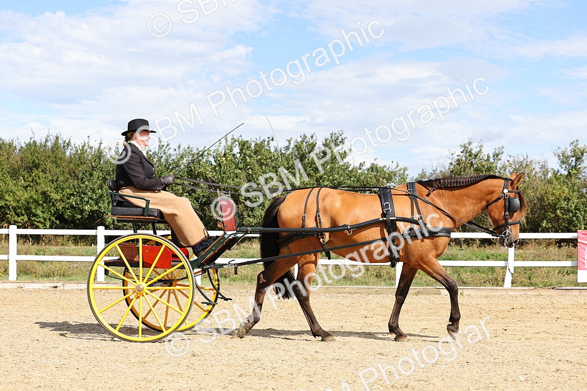 SBM_000855 - Class 8 - Novice Horse or Pony to any vehicle