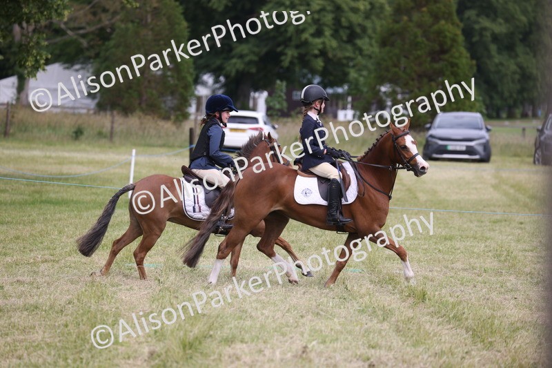 20260614-4145 - Class 24 - Mini and Major Pairs Jumping