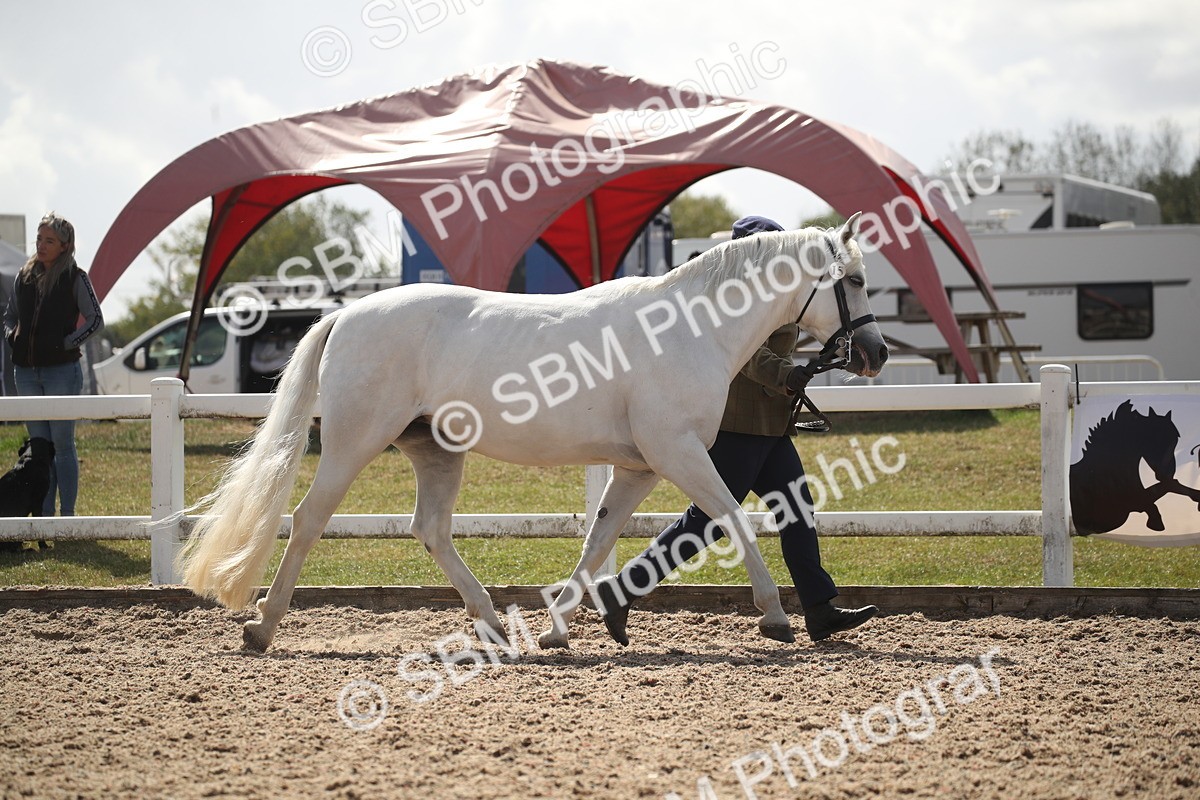 SBM_23094 - Class 606 - 2026 - Area - IH Pre Vet