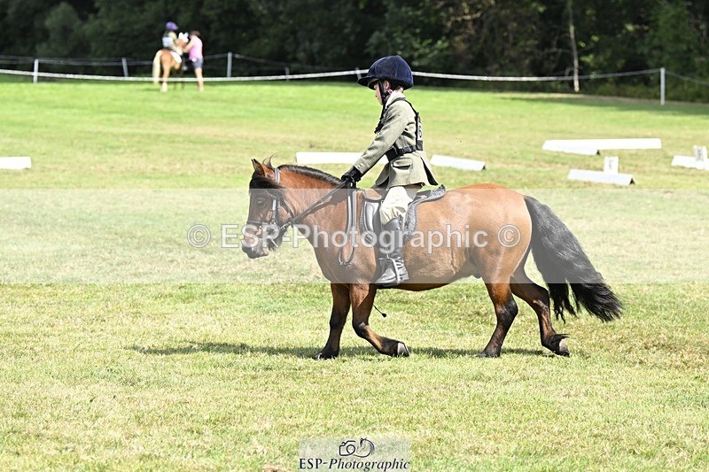 250822A-115644-22451 - DR 11.00 to 12.00