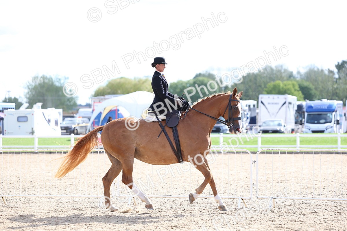 SBM_17121 - Class 315 - Best Horse - Rider Combination