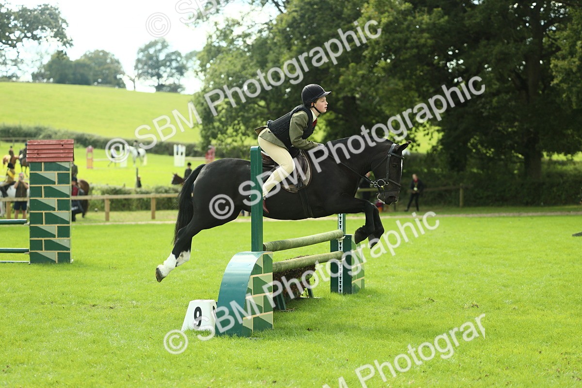 SBM_44749 - S31 - Working Hunter Pony
