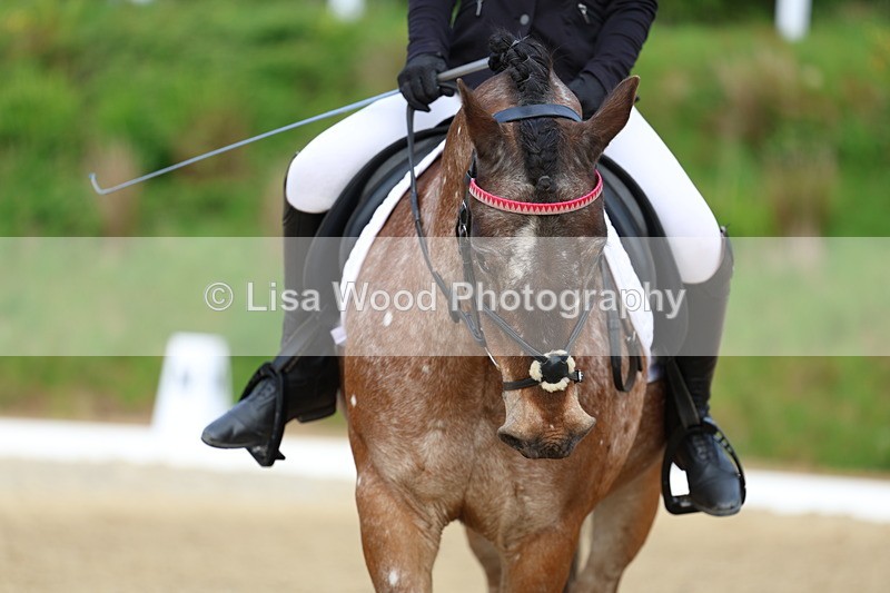 3E7A3589 - Class 2: INTRO B- INTRO 3 2024