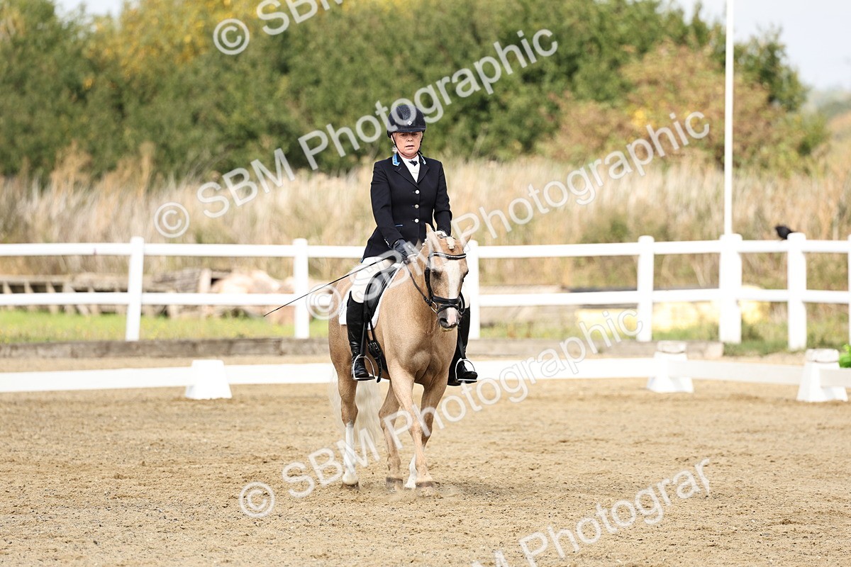 SBM_018220 - Class 16 - Novice 5 - 11.12-12.01