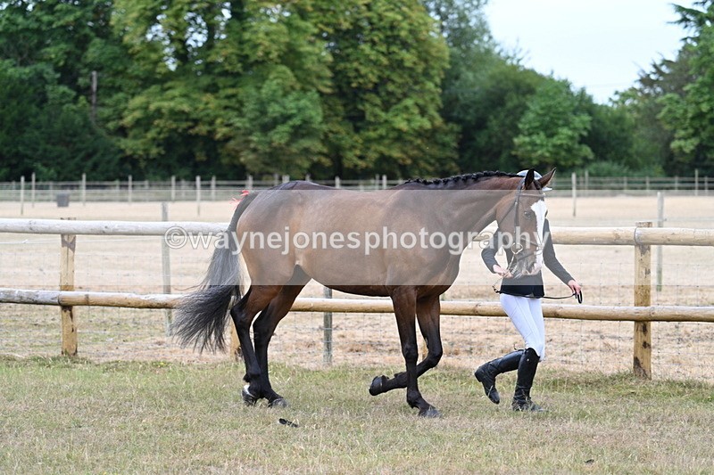 WJ7_8791 - Class 4a Prettiest Mare 14.2hh and over