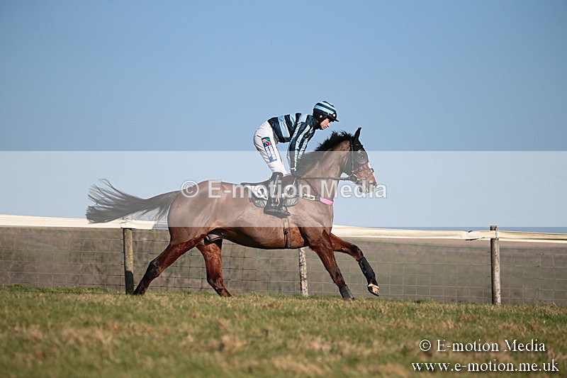 PtP 230219 406 - Vine & Craven Point-To-Point - Barbury 23/02/19