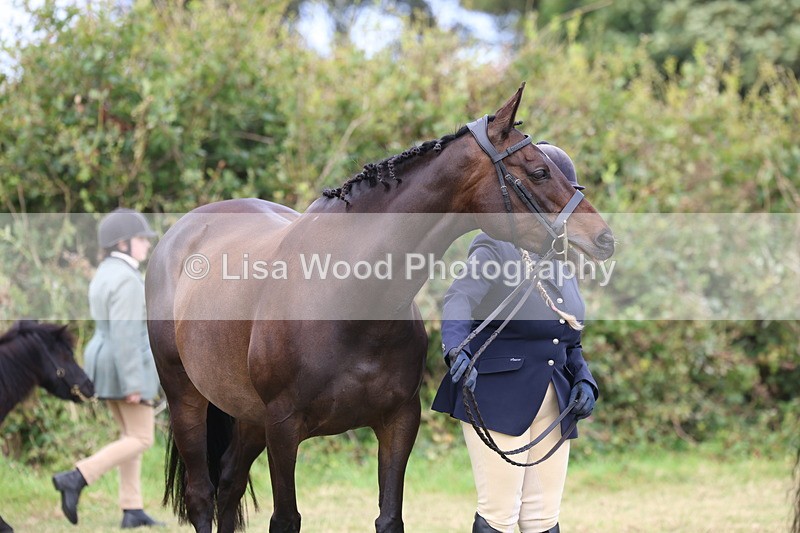 3E7A4881 - Class 16: Best Grass Kept