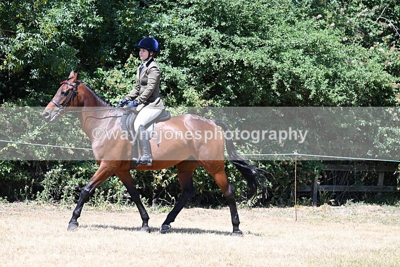 WJ7_2765 - Class 7 Riding Club Show Horse
