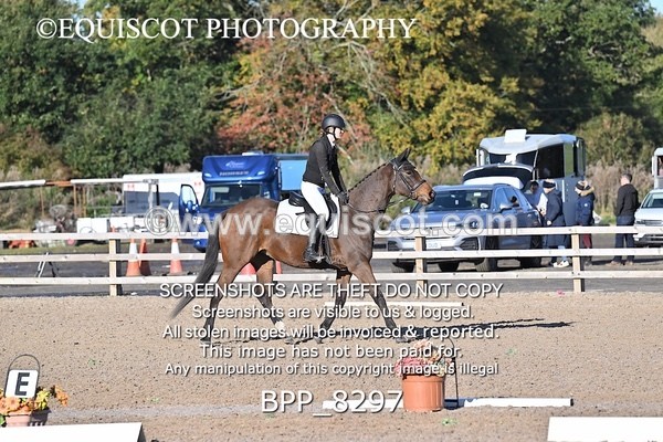 BPP_8297 - SHORT ARENA