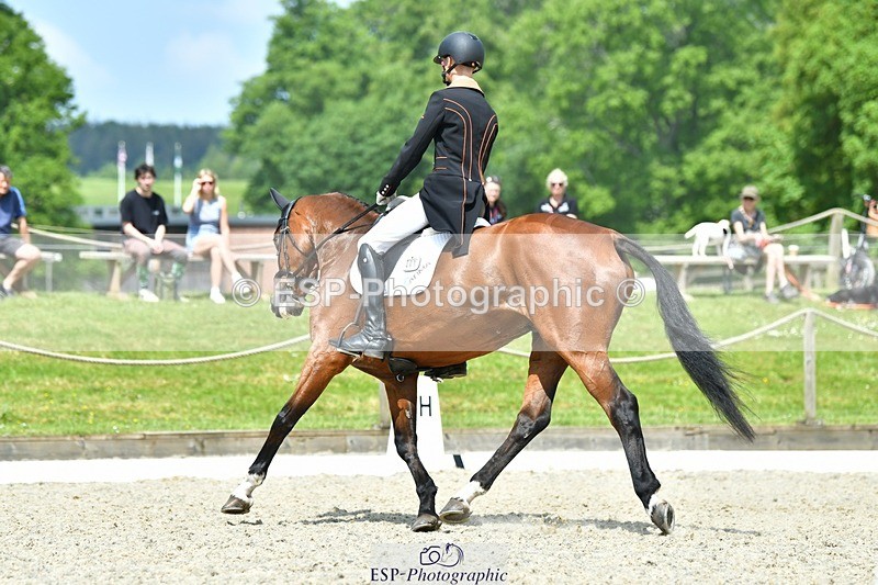 230525-113055-04042 - 201-JAEGER_MASTER-Tom_Woodward-WEDTrotUp+DR