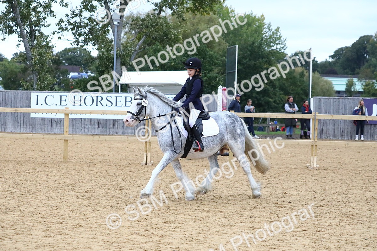 SBM_68351 - J3b - Mini Tour Junior Pony 40cm Championship