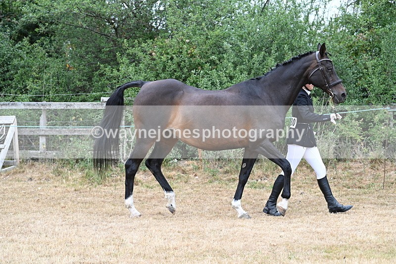WJ7_9018 - Class 4a Prettiest Mare 14.2hh and over