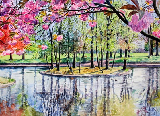 Spring, Duthie Park. - Jane Pettigrew D.A.