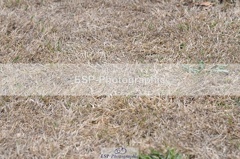 250820A-175345-12340 - Wednesday Presentations