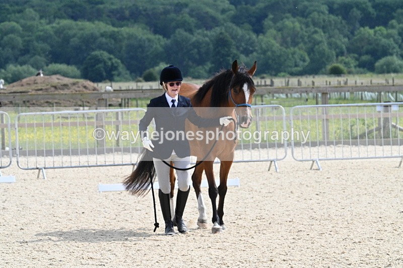 WJ7_8202 - Time 16:10 to 16:25