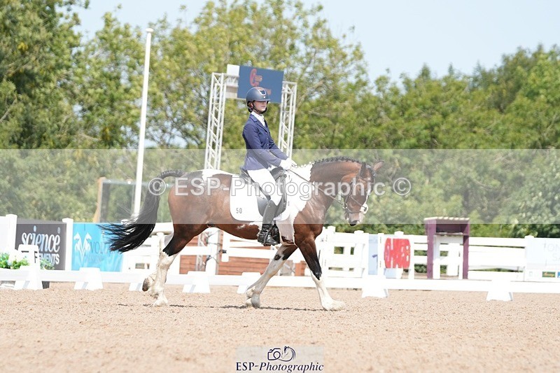 250817-122605-09323 - 050-Mollie.SheathTouch.Wood