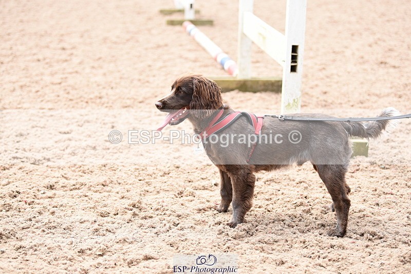 240518A-113720-00792 - Cls 1 Cutest Puppy
