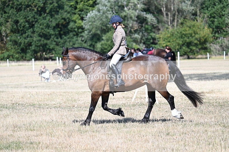 WJ7_3916 - Class 9 Mountain & Moorland Ridden