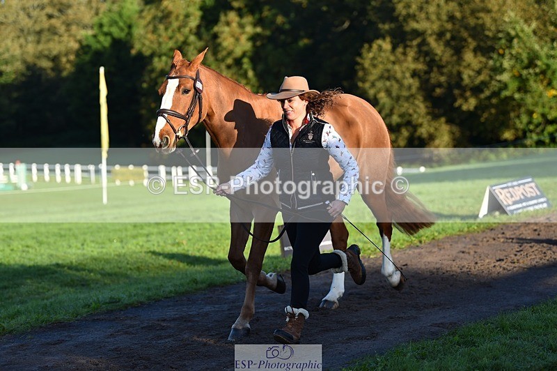 231022-090522-21556 - 606-GOLDEN.HEART.BREAKER-Emily.R.Vincent-TrotUp+SJ