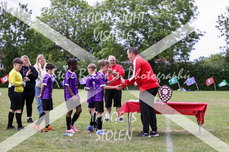 1DX31560 - Brook Field V Goddard Park