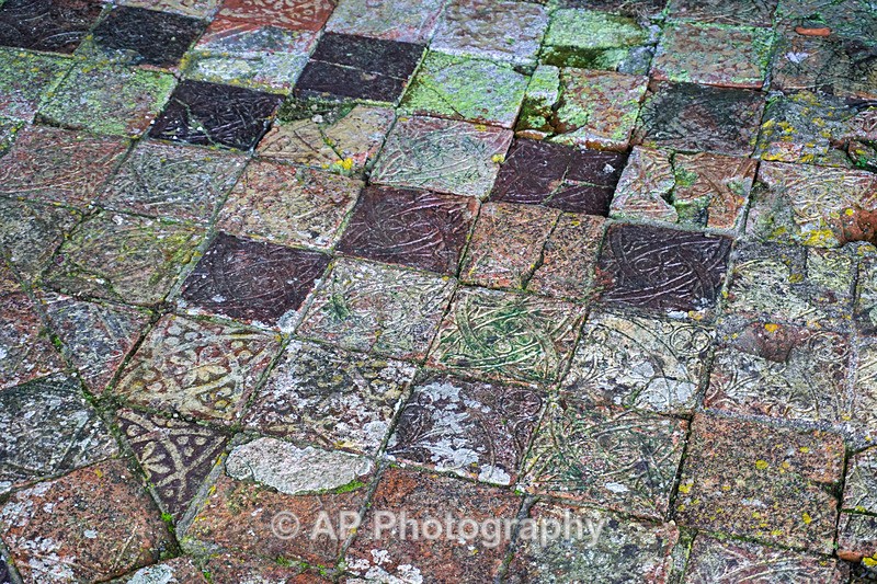 ACP02037-1 - Strata Florida Abbey