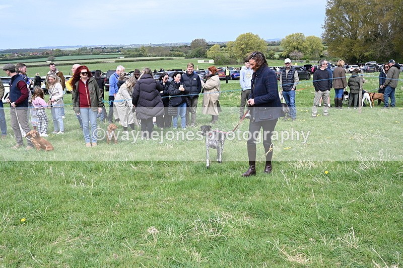 WJ6_8342 - Class 4 Prettiest Bitch