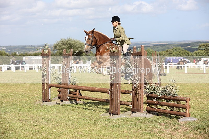 JPP_2516 - Class 20: Working Hunter 70cm