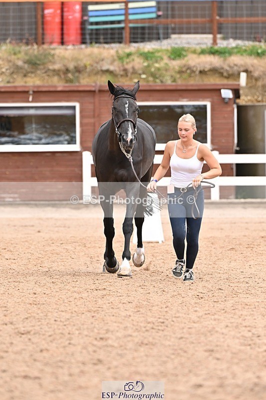 250716-144334-01331 - Trot Up 2.30 to 3.30