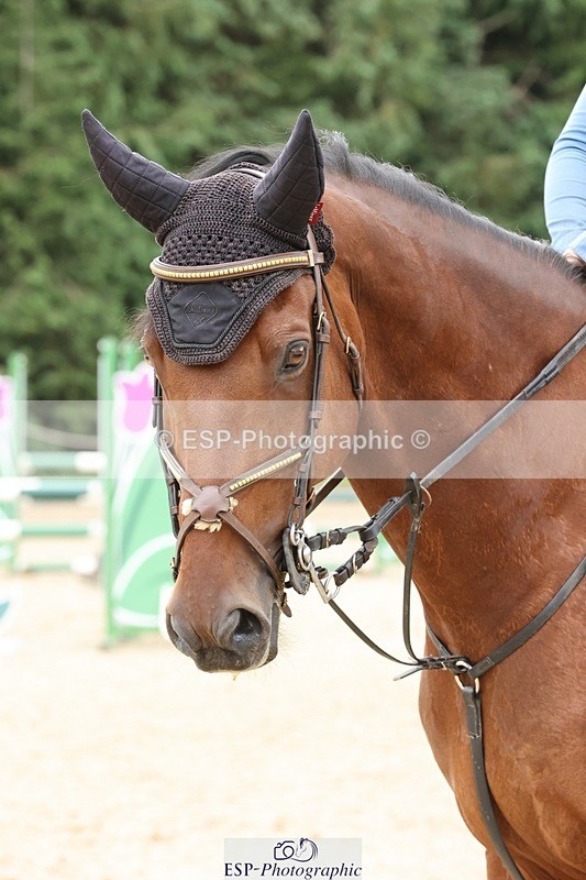 240817-115727-01203 - 03B1.00m Open