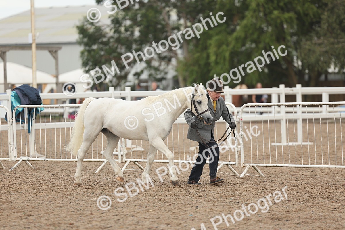 SBM_08488 - Class 29 - IH Veteran Pony