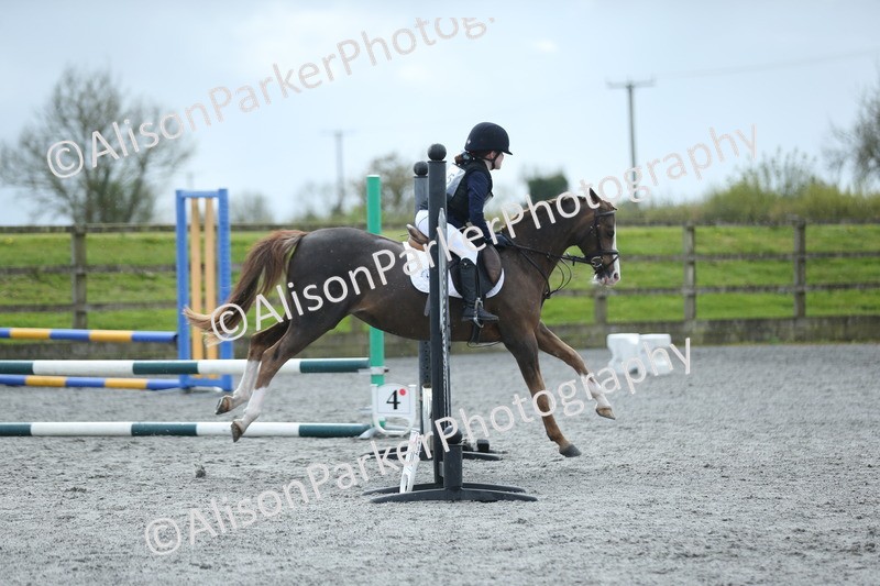 20260412-1747 - Show Jumping