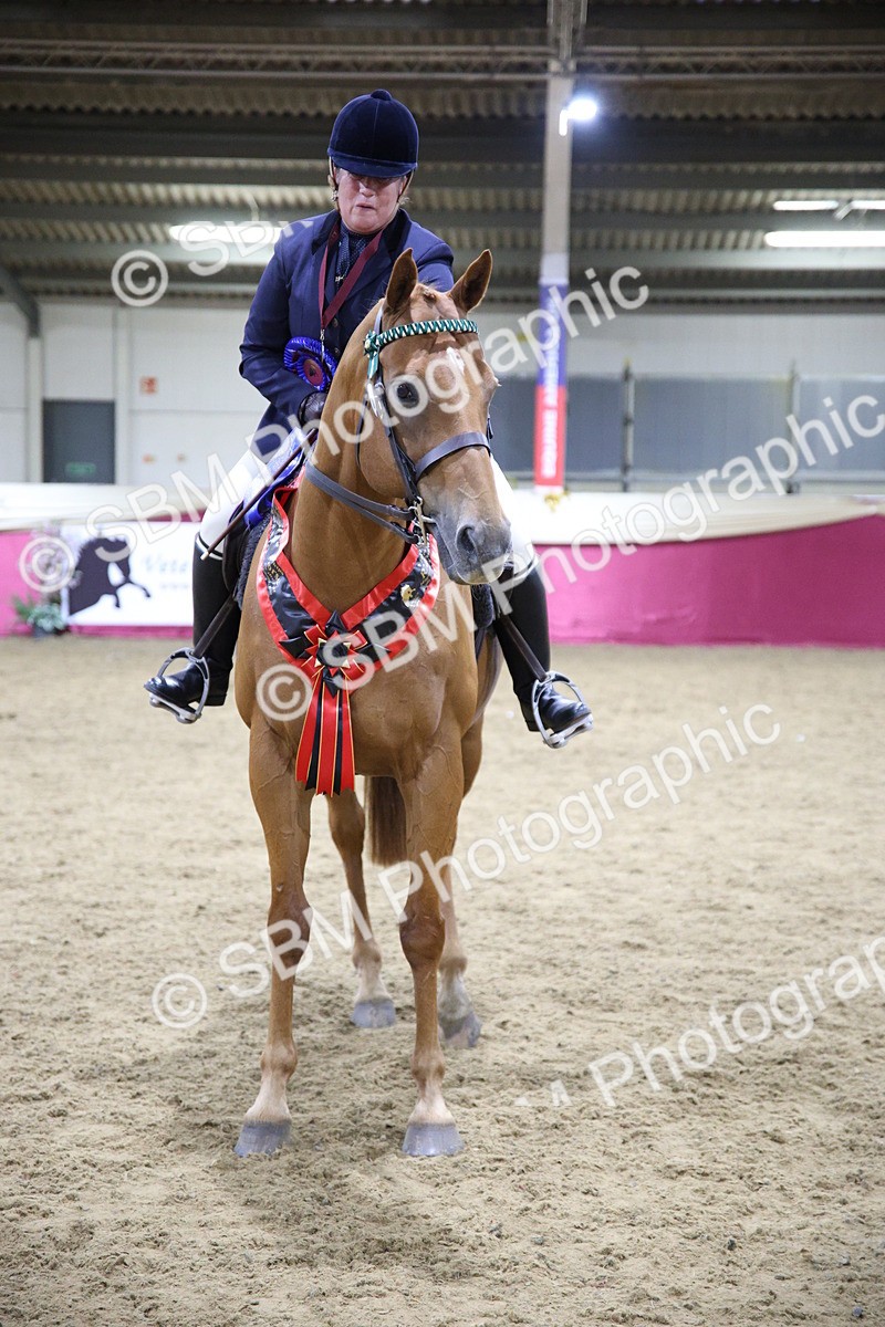 5K7A1517 - Class 108Ridden Retired Racehorse- Final Judging