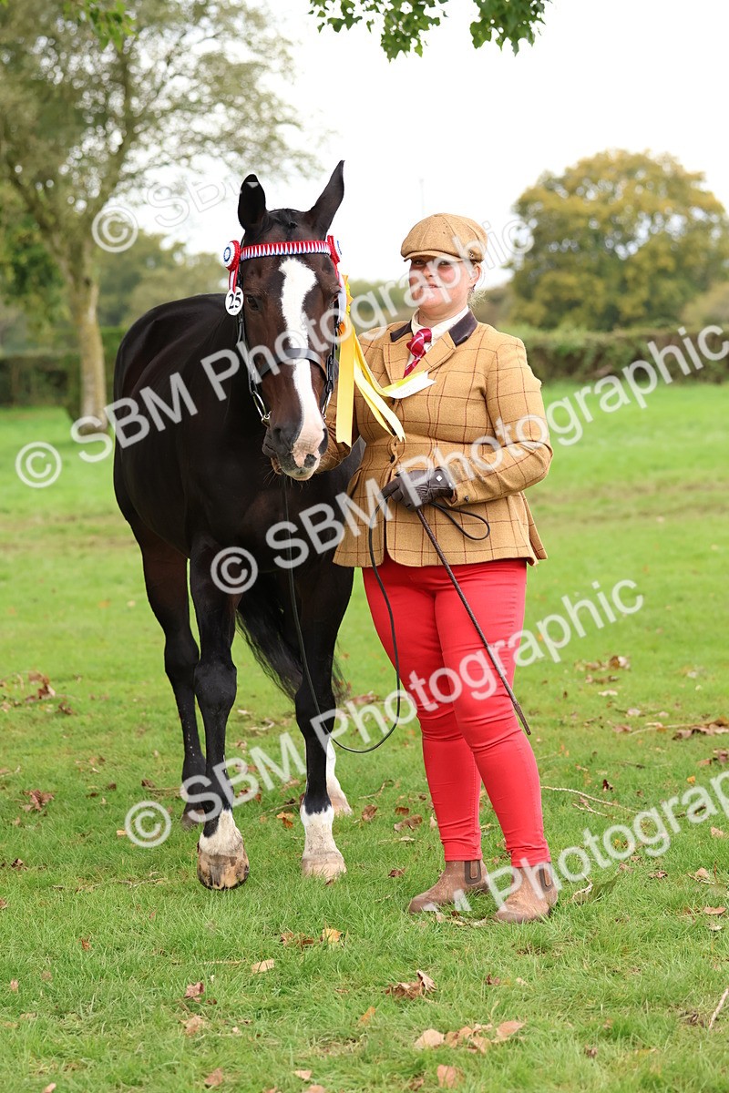 SBM_41752 - S26 - Mature Veteran In Hand