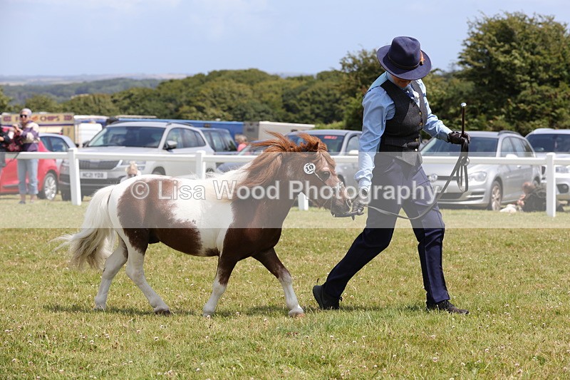 1X9A4839 - Class 35: Veteran In Hand