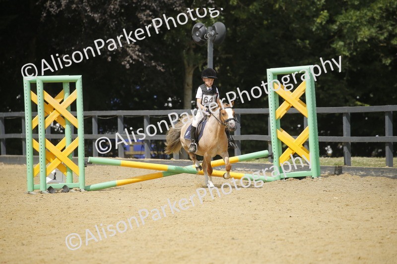 20250622-4064 - 50cm